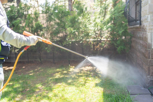 Best Organic or Eco-Friendly Pest Control  in Gloster, MS